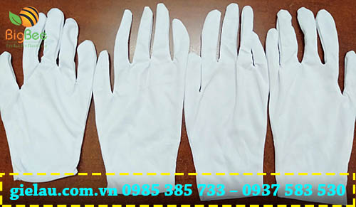 Găng tay thun trắng L9+1