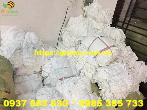 Bán giẻ lau cotton trắng số lượng lớn thị trường Hà Nội 