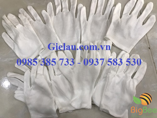 Găng tay thun trắng được làm từ chất liệu cotton tự nhiên