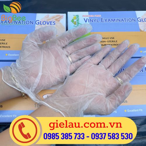 Găng tay nhựa dẻo PVC trong suốt đủ size cho nam và nữ 