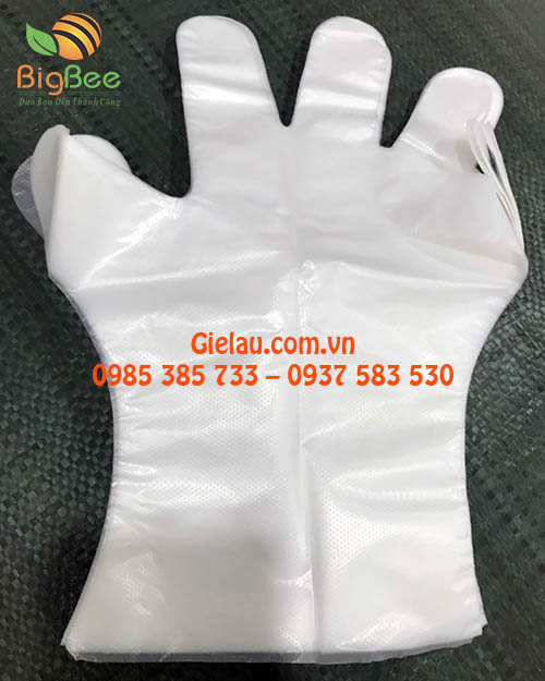 BigBee bán găng tay nilon/xốp giao toàn quốc