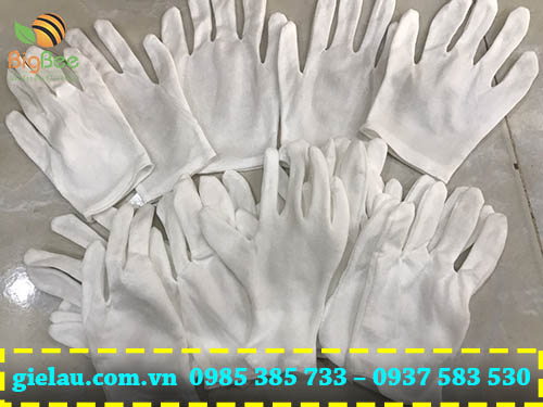 số lượng lớn găng tay thun trắng dùng trong công nghiệp