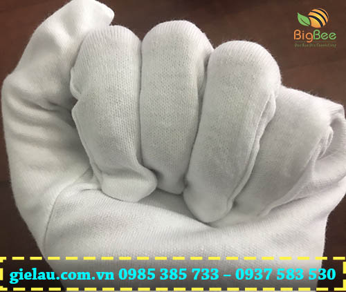 nhận giao hàng găng tay thun trắng dùng trong công nghiệp giá rẻ