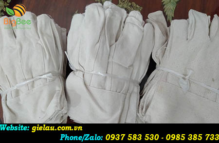 Găng tay vải bạt trắng được đóng gói theo quy cách chuẩn