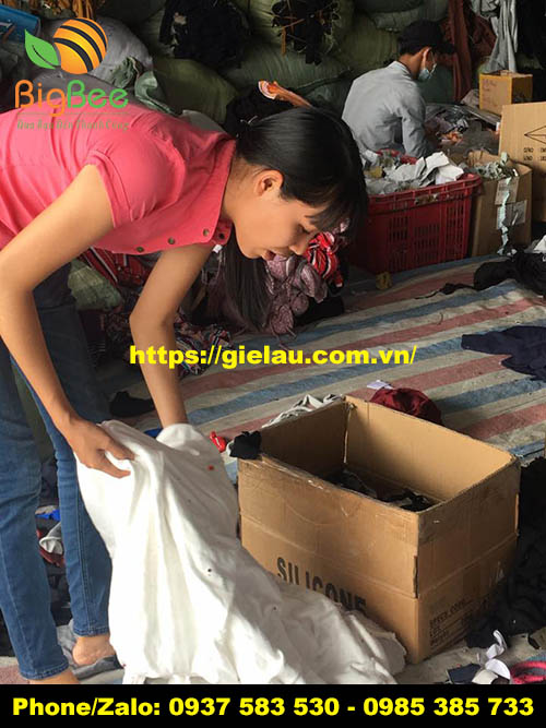 hình ảnh công nhân đang phân loại giẻ lau thun cotton trắng tại xưởng