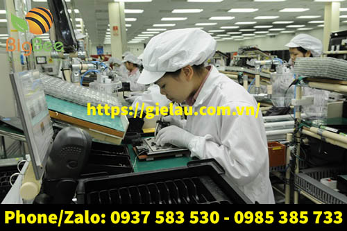 công nhân ngành sản xuất linh kiện tử sử dụng găng tay vải thun trắng