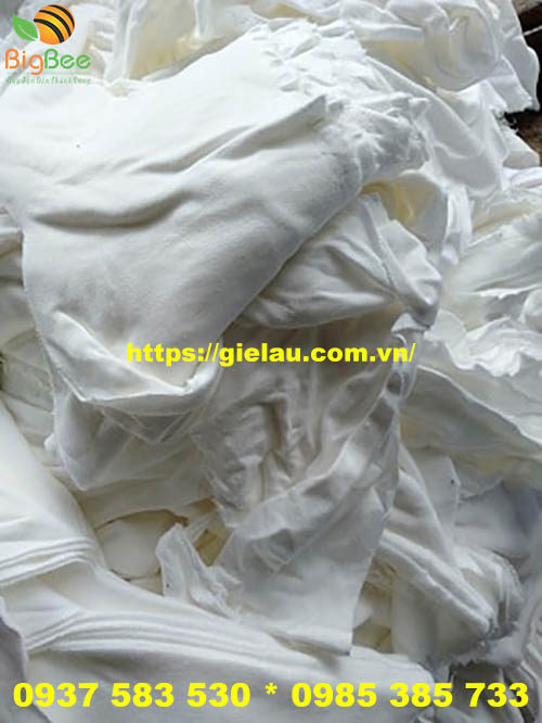Thu Hồng bán mối giẻ lau cotton trắng thị trường hà nội có chất lượng không?